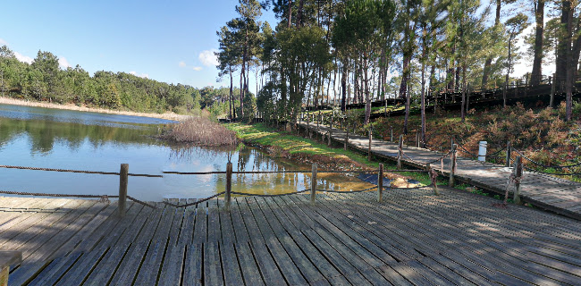 Avaliações doParque Urbano De São Lourenço em Abrantes - Bar