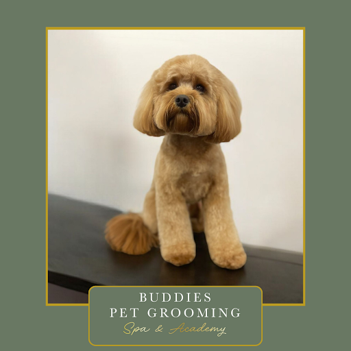 Buddies Pet Grooming Spa & Academy