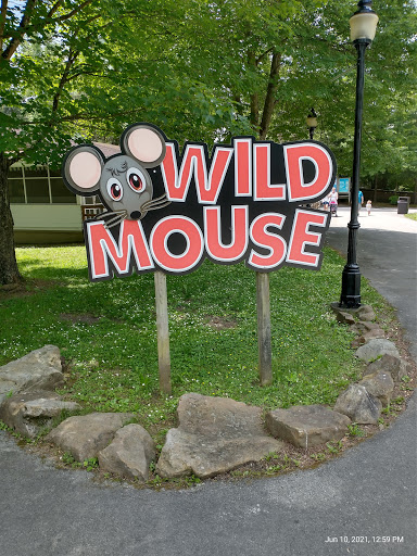 Wild Mouse (Idlewild) - Thumbnail