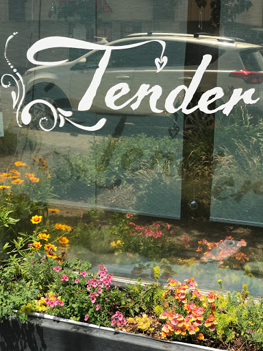 Tender Wellness - Visual