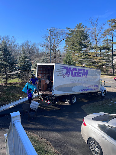 Digem Movers - Thumbnail