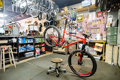 Family Bike Shop