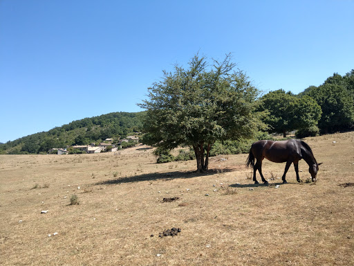 Casette di Cottanello