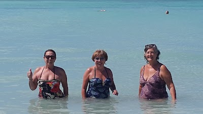 Photos of AVIS Palm Beach, Aruba