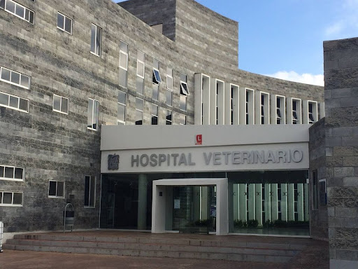Hospital Veterinario de la UAEH