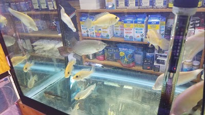 New Lucky Fish Aquarium & Pet Supply