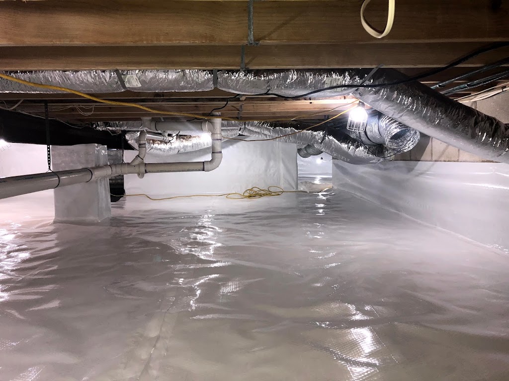 MAD Cleaning, LLC photo