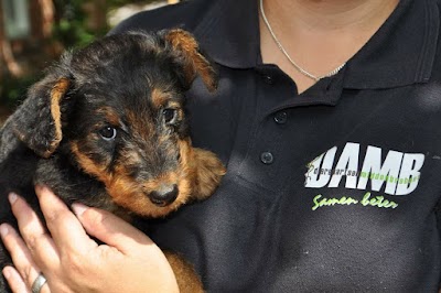 Dierenartsen Midden Brabant