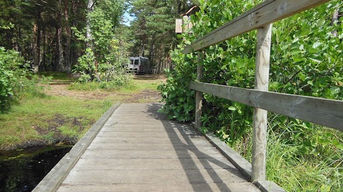 RMK Allikajärve lõkkekoht