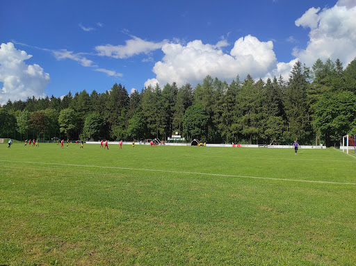 FC Werda 1921 e.V.