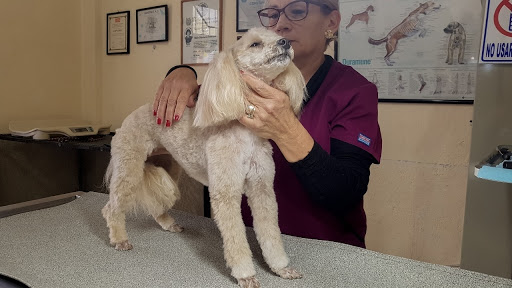 Veterinaria San Roque