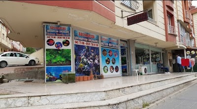 Ansar production house - Aquarium Store