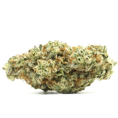 Photo of Can Deliver NY