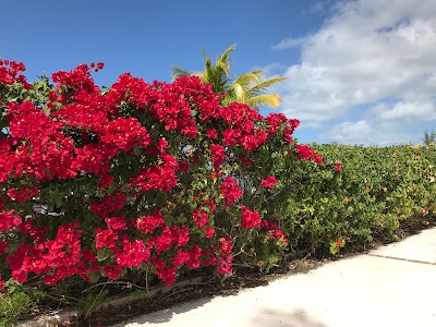 Photos of Happy B&B