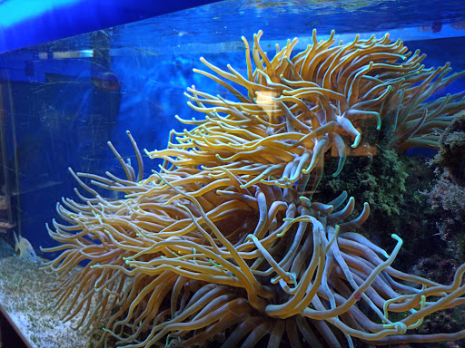 Punta Culebra Nature Center Gallery - United States