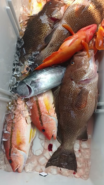 遊漁船 GRACIAS！