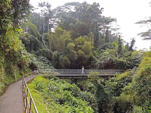 Akaka Falls