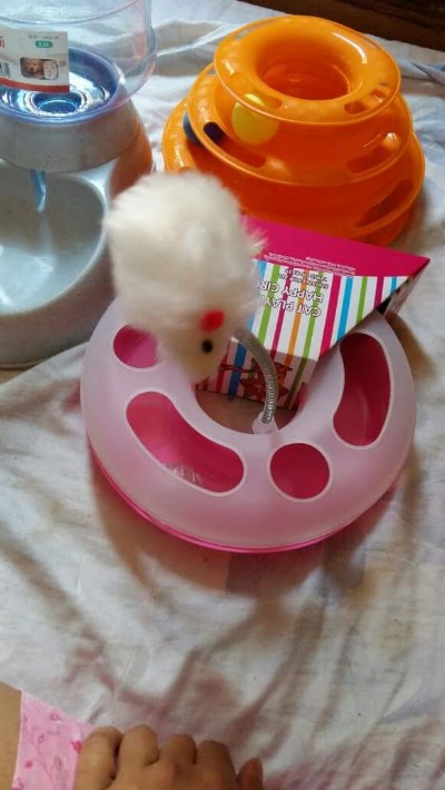 Photos of My Pets Online Service - ماي بيتس لمستلزمات الحيوانات الاليفة عبر الانترنت