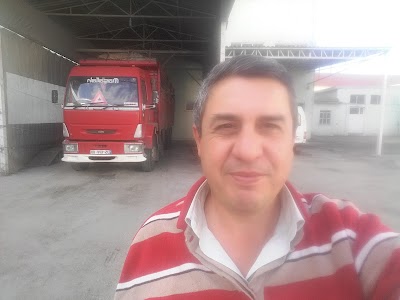 moving-company