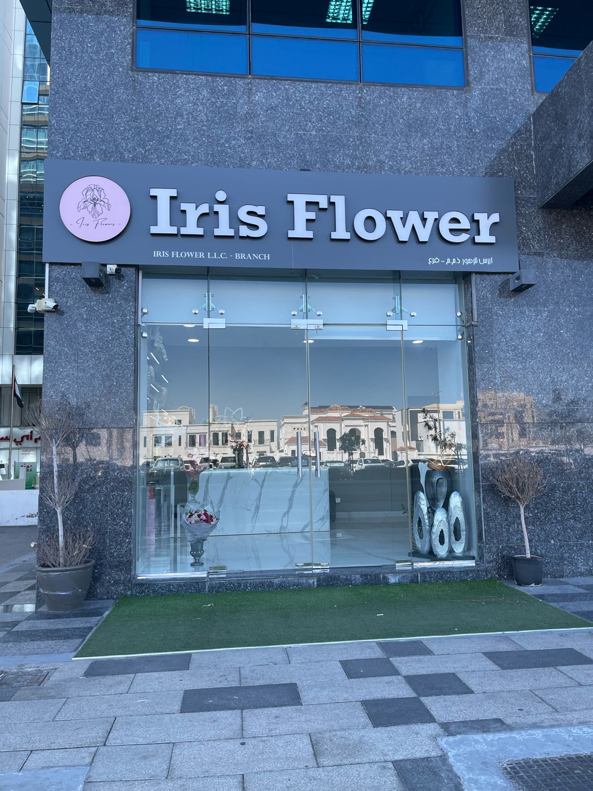 IRIS FLOWERS - صورة 2