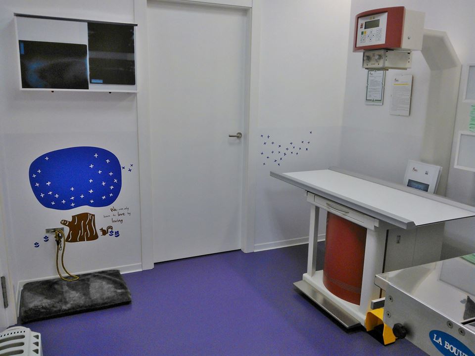 Centro Veterinario Proxecto Lagar