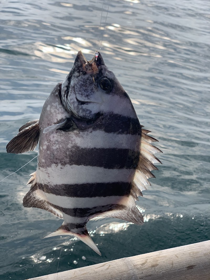 淡路島釣り船【廣田丸】