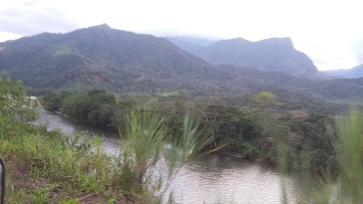 Photos of Granja Porcina