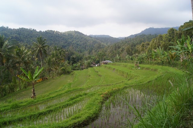 Munduk