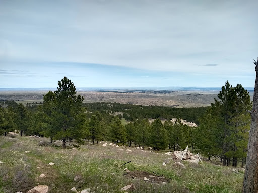 Esterbrook Campground - Visual