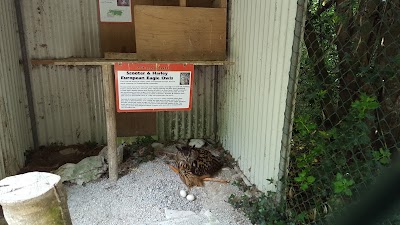 Photos of Stonehall Visitor Farm
