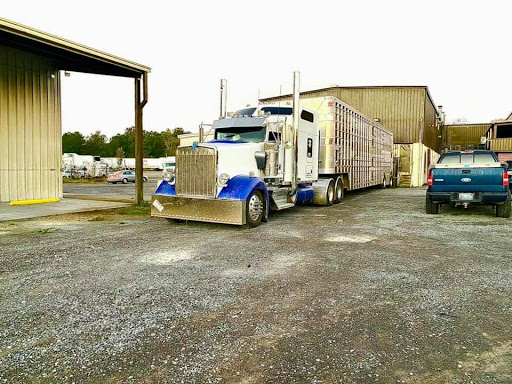 UCAD - United Coalition of American Drivers LLC Gallery - United States