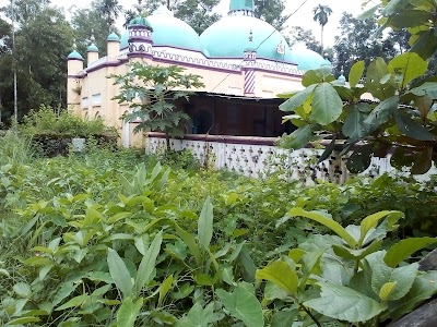 Photos of শওকত স্টোর