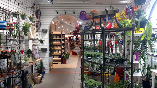 Jacksons Home & Garden Gallery - United States