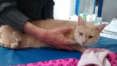 Photos of Veterinary Specialty Center