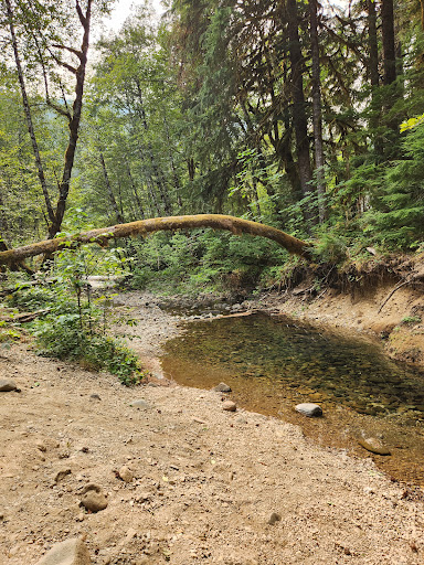 Paradise Creek - Thumbnail