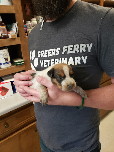 Greers Ferry Veterinary Clinic - Thumbnail