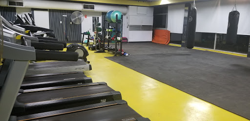 Stack City Gym - Visual