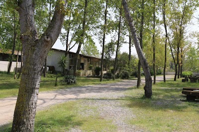 Photos of Segol Motel