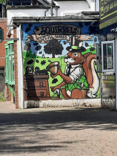 The Squirrels - Visual