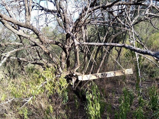 Paseo de los Pájaros, Author: Sergio Borghetti