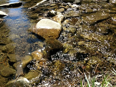 AGUA PIEDRA GROUP SHELTER