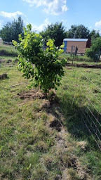 Photo n°21 de Calvi Epic Plongée à Calvi (Club de plongée)