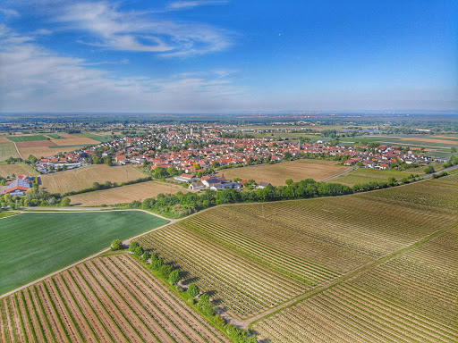 Drohnenservice-Pfalz - Thumbnail