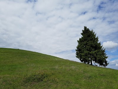 Photos of &Scaron;ATRIJOS KALNAS, UAB