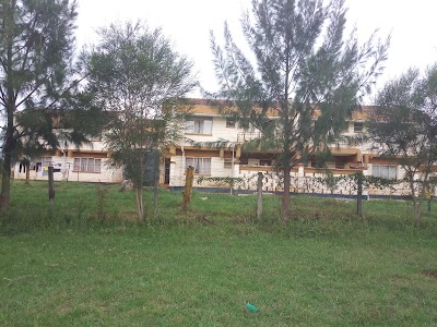 university
