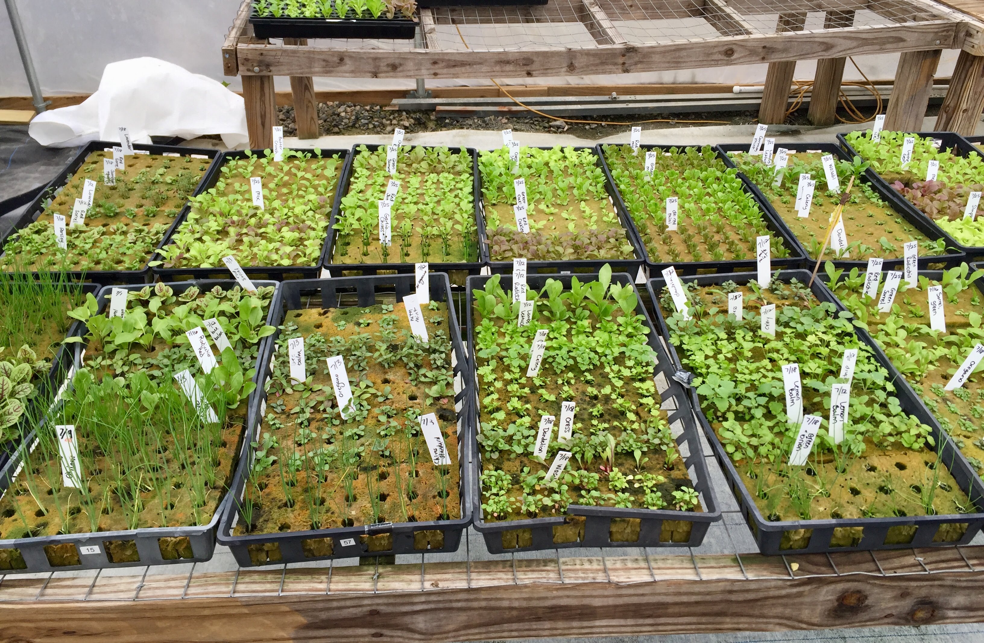 ATL Urban Farms