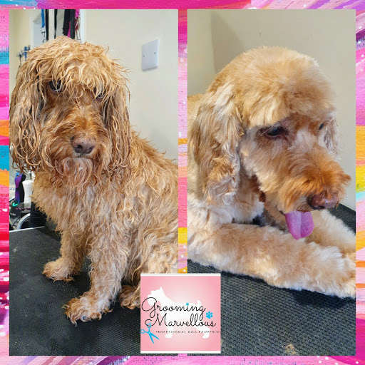 Grooming Marvellous