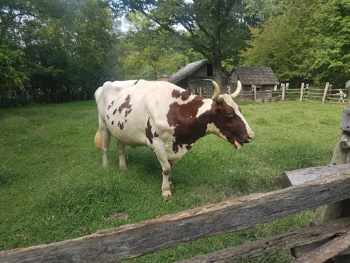 Homeplace 1850s Working Farm - Thumbnail