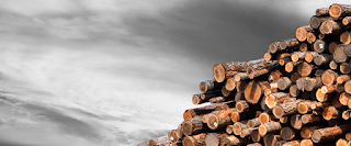 Hilbig Håndværk - Tagarbejde 4