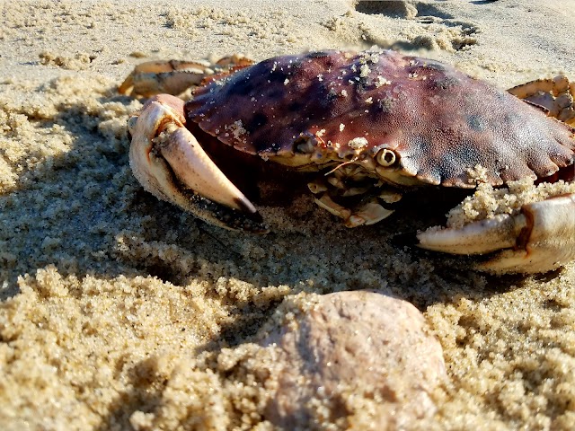 Cape Cod National Seashore Salt Pond Visitor Center